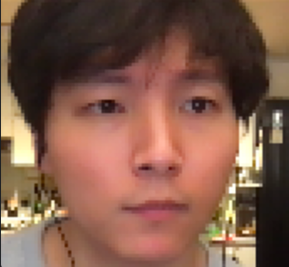 developer